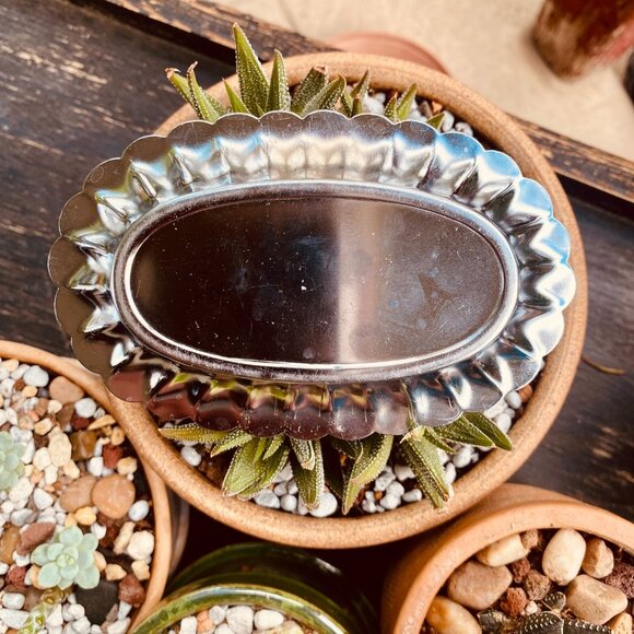 Death Valley California Metal Souvenir Tray - Picture 4 of 9